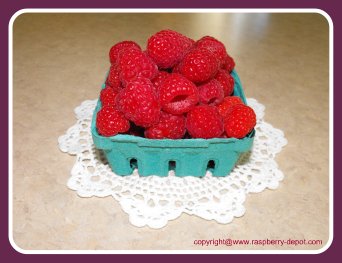 raspberry sorbet recipe