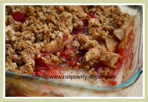 Gluten Free Raspberry Dessert - Raspberry Apple Crumble