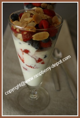 Yogurt Parfait Recipe with Berries for Healthy Dessert or Breakfast /Brunch